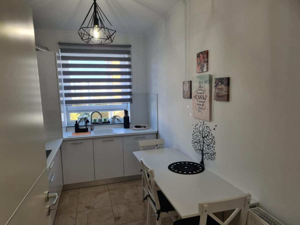 Oscar House Διαμέρισμα Μπρασόβ Εξωτερικό φωτογραφία